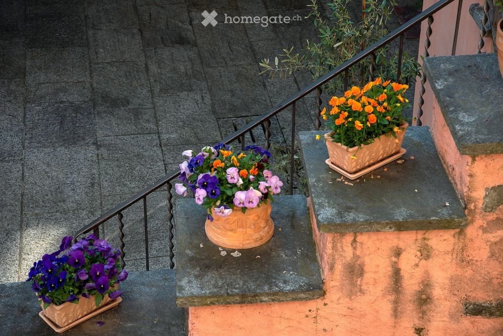Hübsches möbliertes Studio nahe Lago Maggiore (befristet) - Bild 3