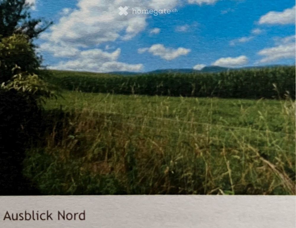 Wunderschönes 7-Zimmer-Einfamilienhaus mit Garten in Nennigkofen (oder 8-Zimmer, oder nur 6 Zimmer) - Bild 3