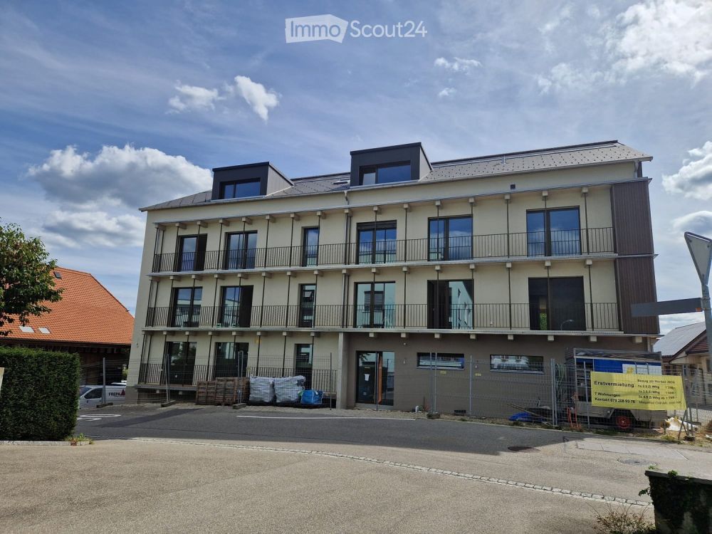 ERSTVERMIETUNG:  grosse 4.5-Zimmer-Dachwohnung mit überdachter Terrasse - Bild 1