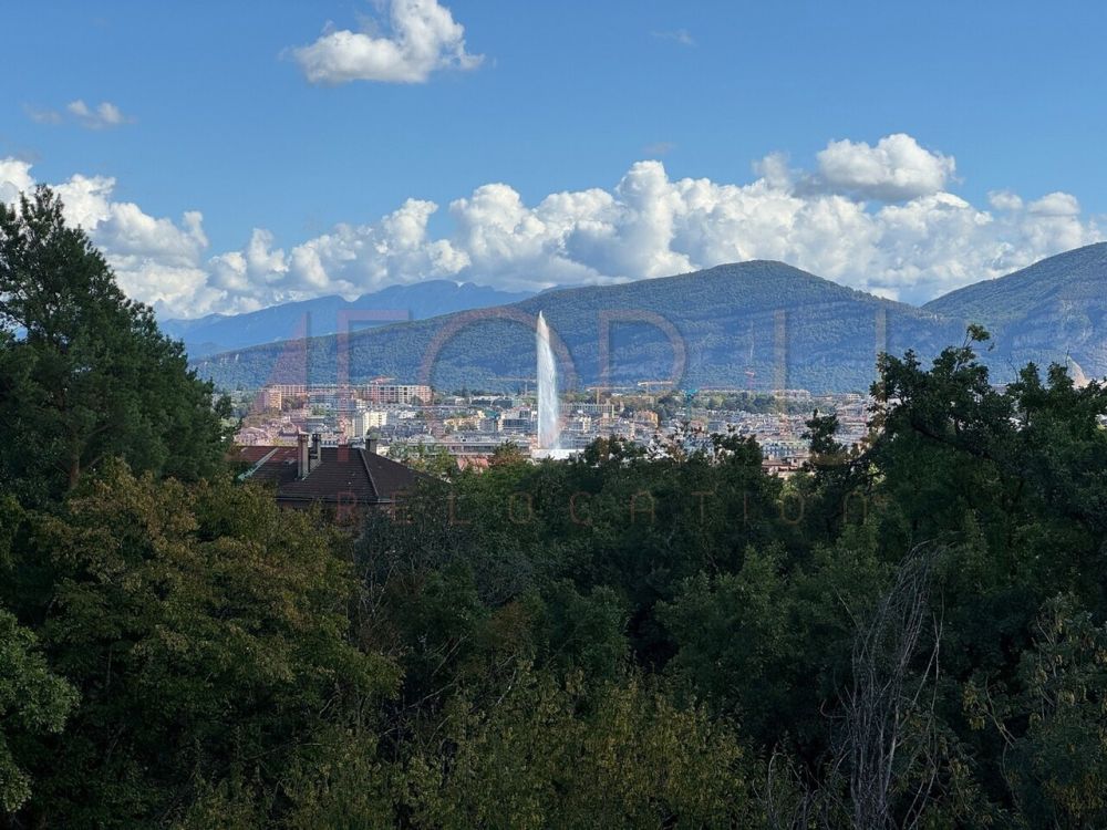 Superbe attique 6.5 pièces neuf avec 2 terrasses et vue près de l'ONU - Bild 1