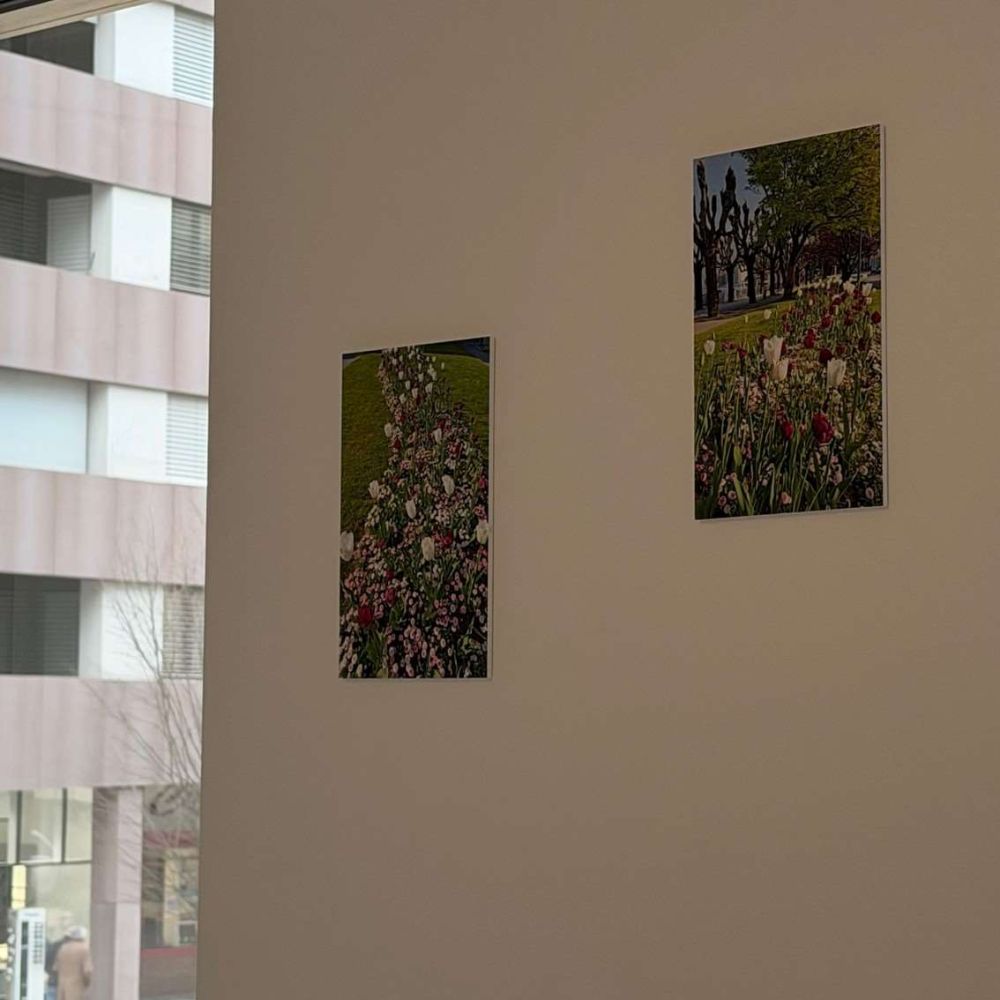 Green Corner - Appartamento Ammobiliato in Prima Locazione a Paradiso - Bild 3