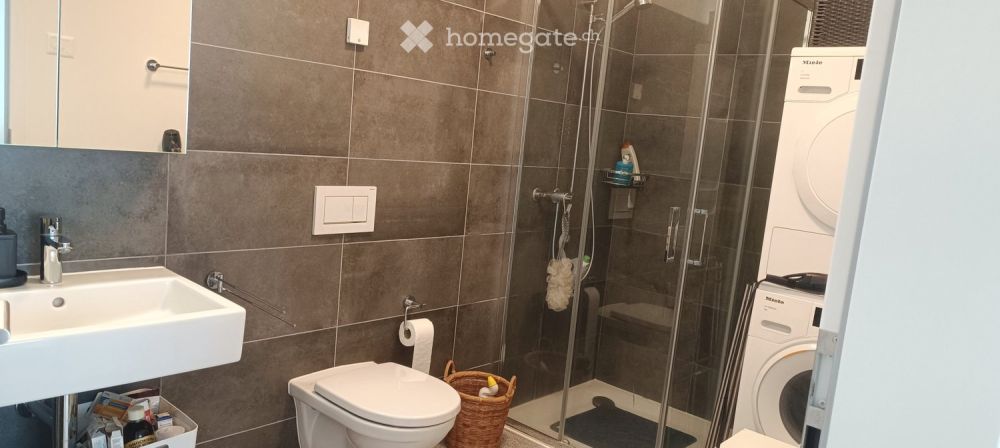 Ottimo 2.5 Massagno: Nuovo e Arredato - Bild 5