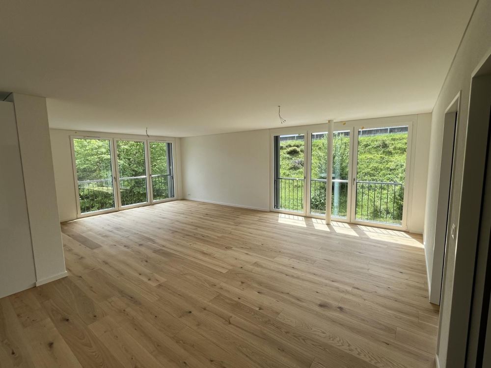 Erstvermietung 3.5 Zi-Wohnung 158m2 Loft-Style, 2600.- Fr - Bild 1