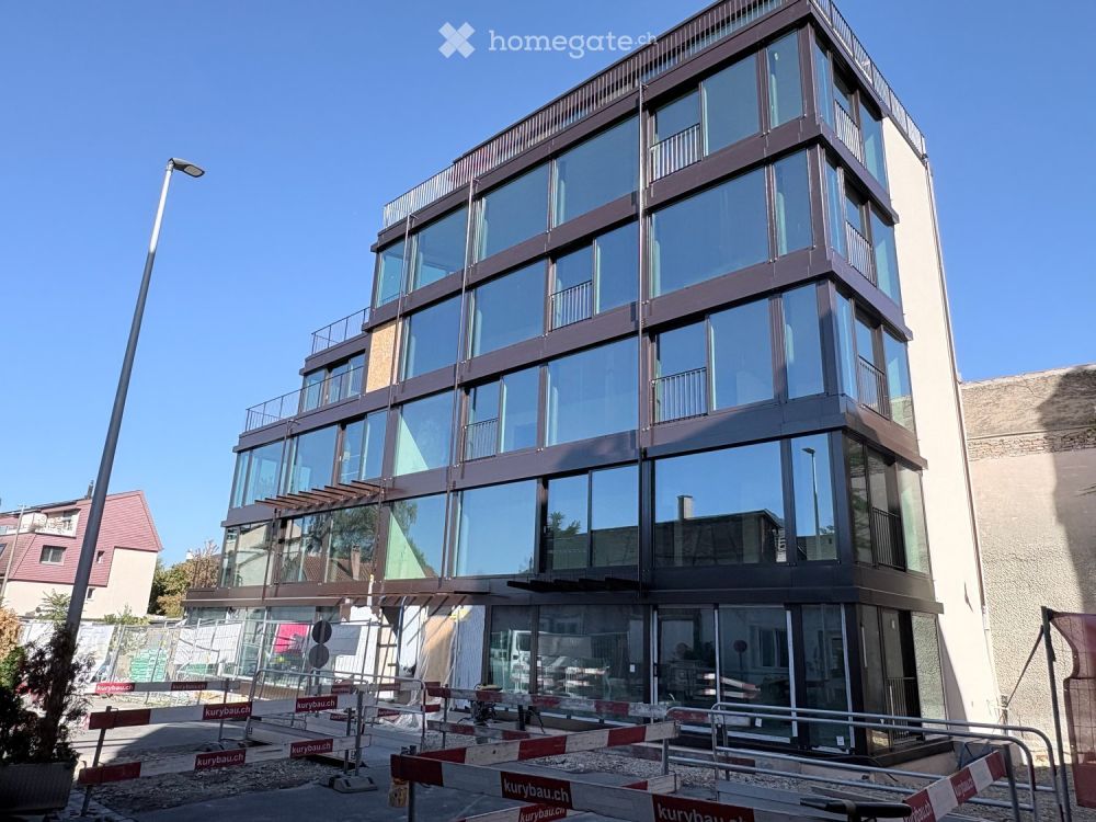 Loft in Birsfelden - Bild 1