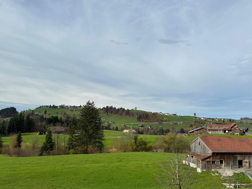 => Neu - Erstbezug neue grosse 4.5 Zi.- Wohnung, grosser Balkon 32m2 - Bild 7