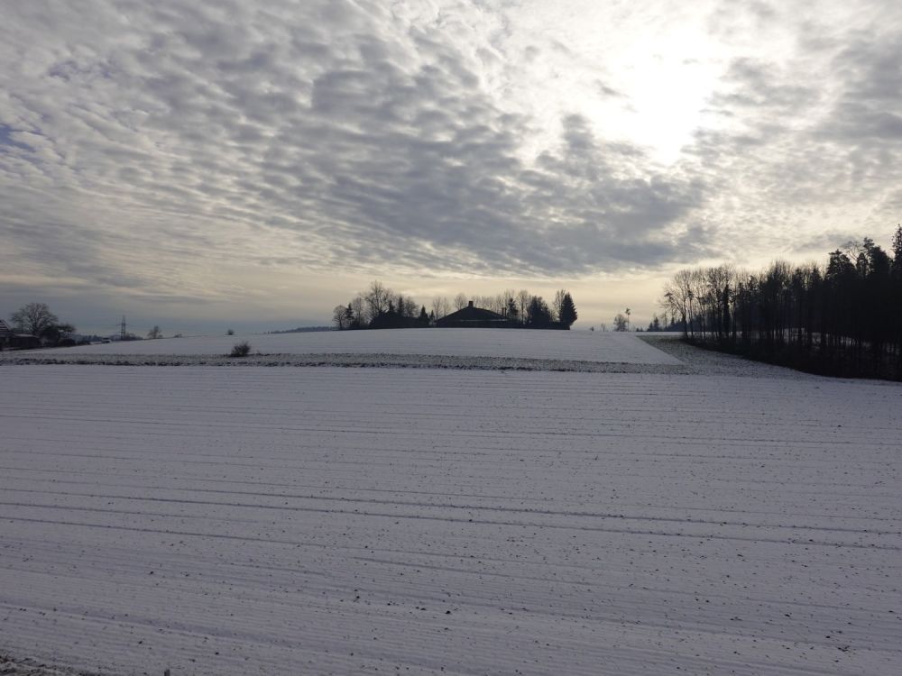 Neubau - 5.5-Zimmer-Dachwohnung mit grosser Galerie und zwei Balkonen - Aussicht Schlafzimmer