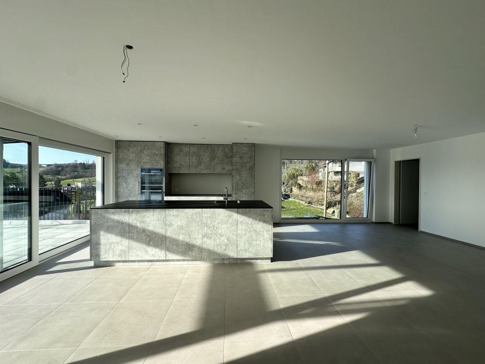 Exklusive Attika-Wohnung mit grosszügiger Terrasse - Bild 1