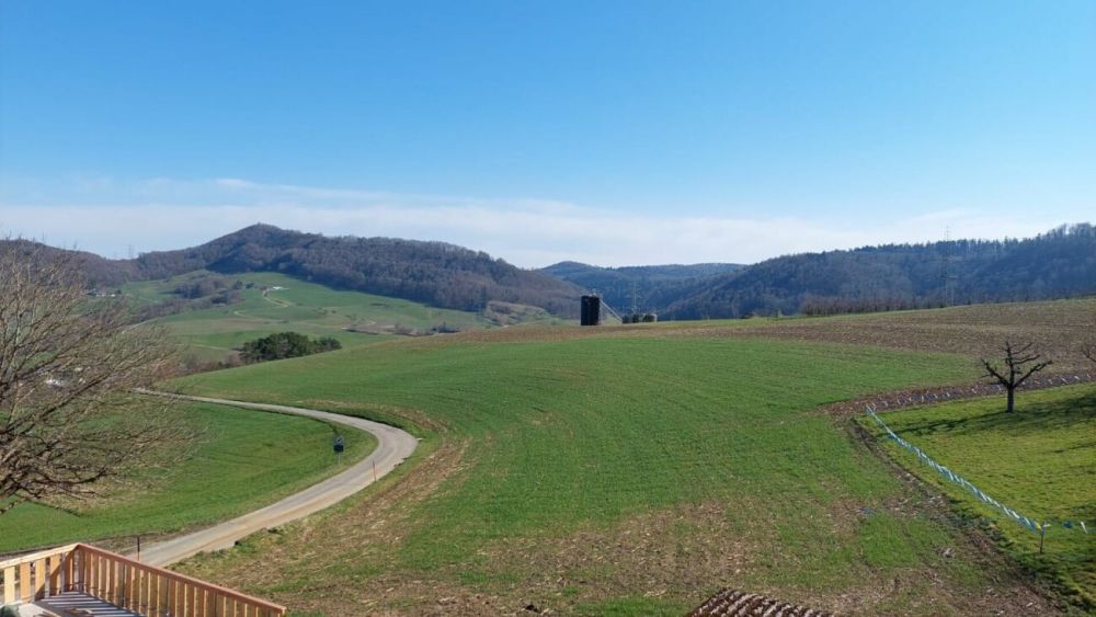 Hochwertige 3.5-Zimmer Wohnung (Neubau) - Bild 9