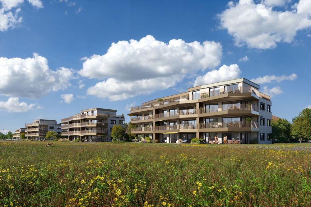 Moderne 3.5-Zimmer-Wohnung im Neubau in Eglisau - Bild 4