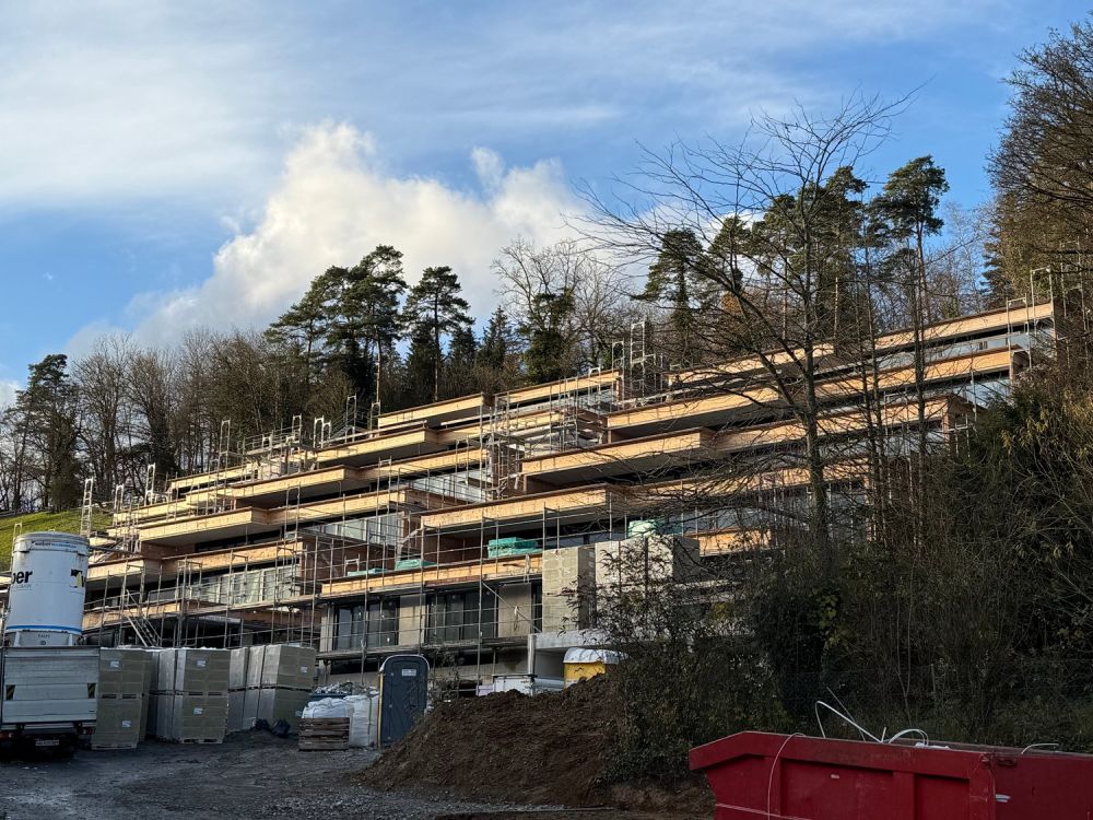 Neubau 4.5-Zi.-Wohnung mit 130 m2 Panorama Terrasse - Bild 2