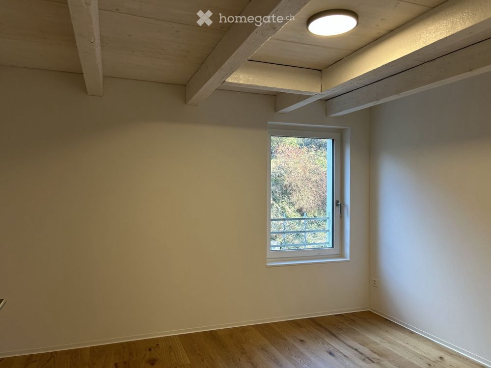 Charmante Wohnung nach Gesamtsanierung – Hauptstrasse 183, Thalheim - Bild 11