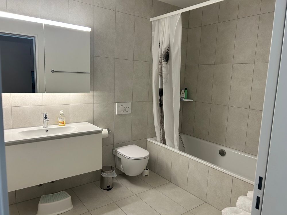 3½ ZI-WOHNUNG IN KRIENS (LU), MÖBLIERT, TEMPORÄR - Bild 4