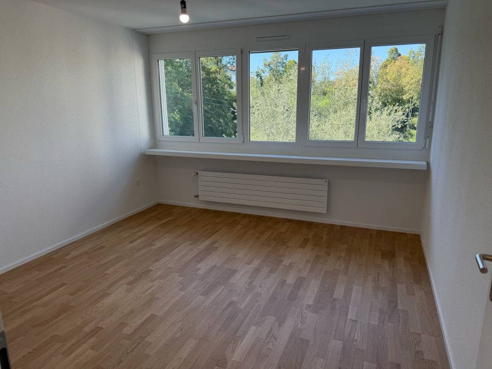 komplett sanierte 3 1/2 Zi. Wohnung im Grünen am Dorfbach - Bild 10