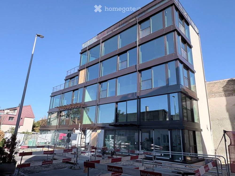 Loft in Birsfelden - Bild 1