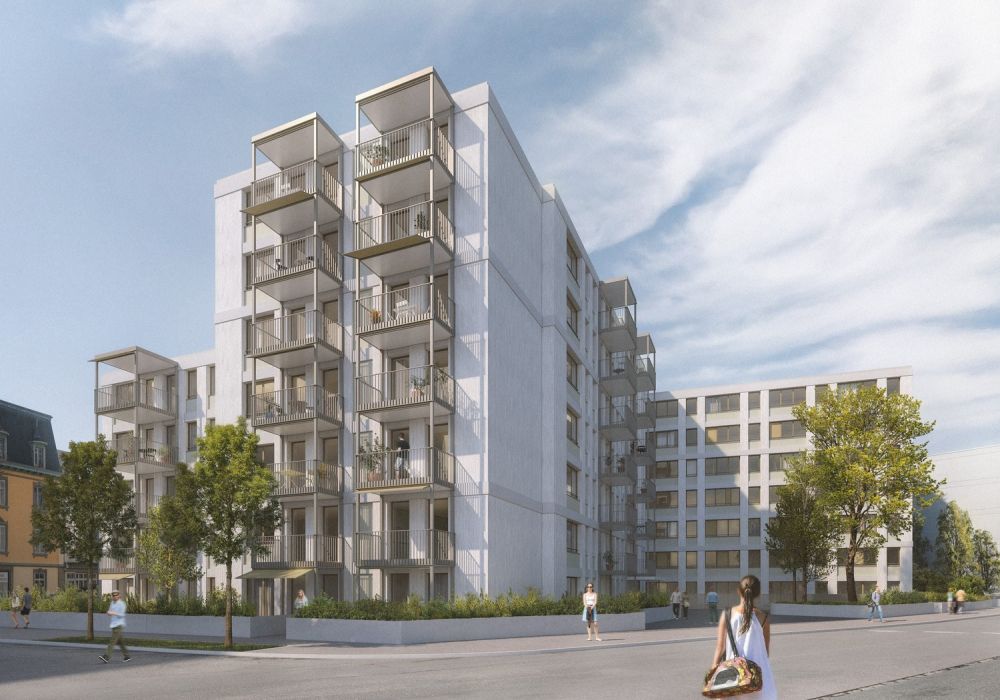 Grosszügige 3.5-Zimmer-Wohnungen im AVES - Das Nest für Stadtvögel - Bild 6