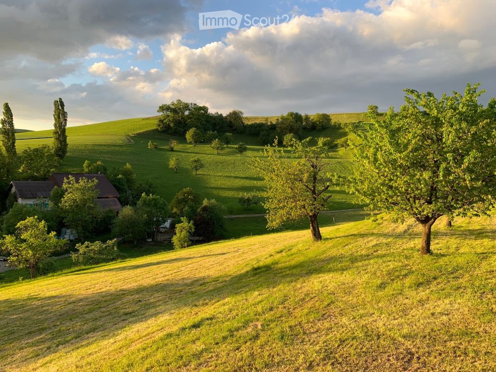 WG Zimmer ländlich, sonnig, ruhig - Bild 4