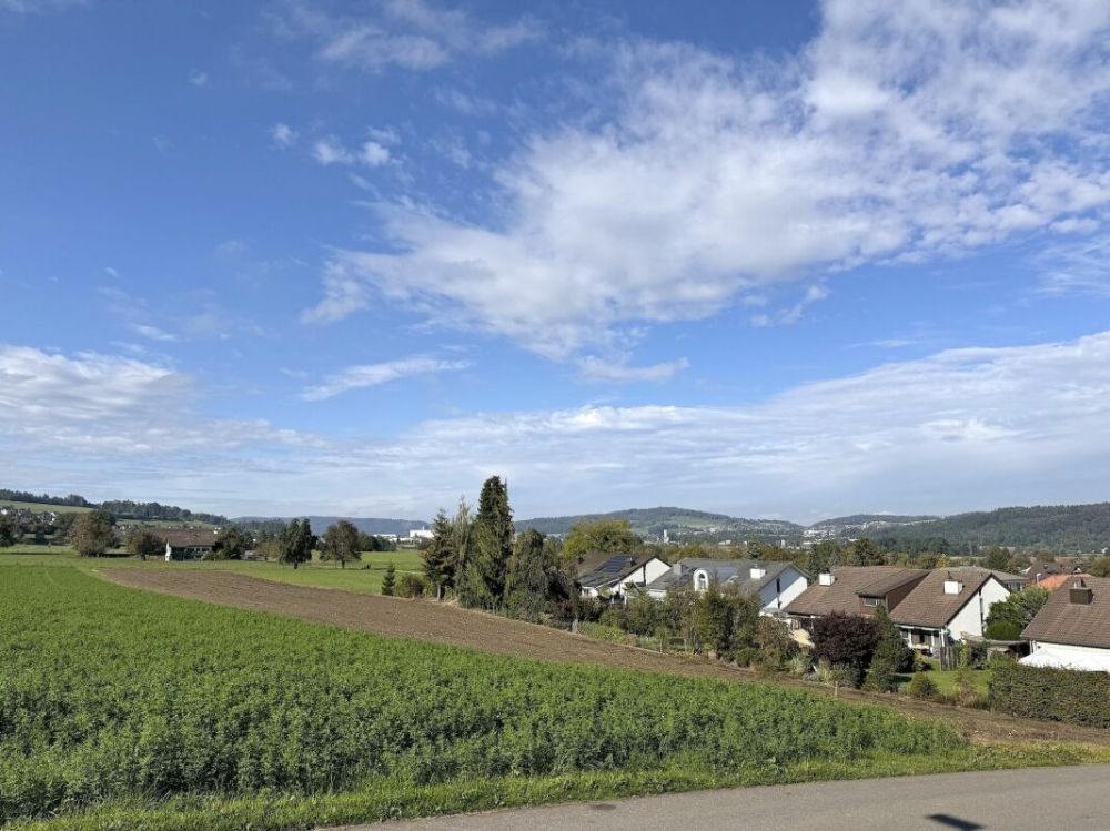 Exklusive Attika-Studiowohnung mit 93 m² Terrasse und Weitsicht - Bild 9
