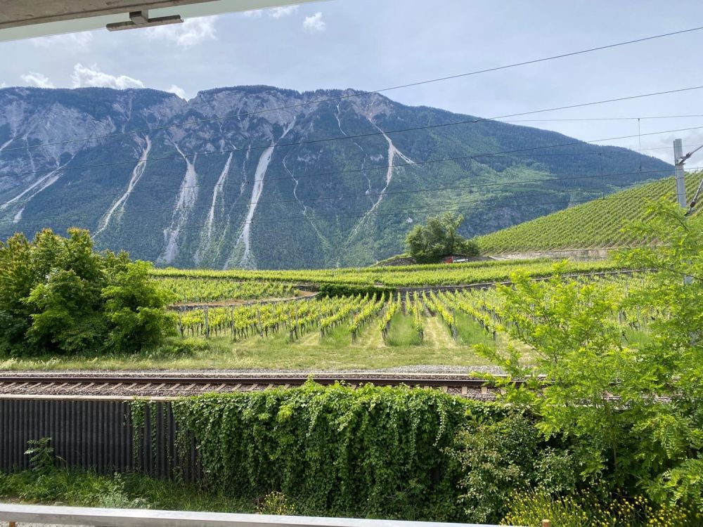 Appartement neuf de 2.5 pièces à Salgesch, proche gare - Bild 5