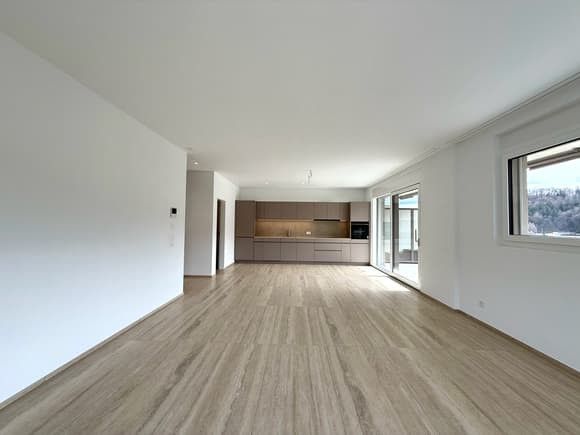 Erstvermietung: Moderne 4.5-Zimmer-Neubau-Wohnung mit Terrasse und schöner Aussicht in Trimbach - Bild 3