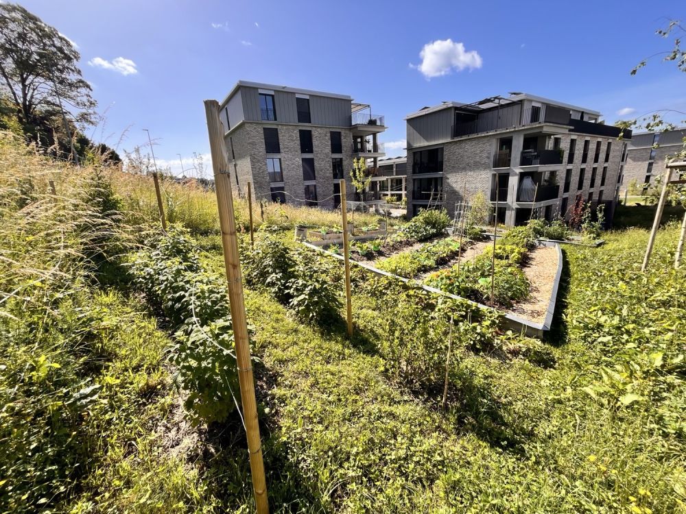 WG-Zimmer mit privatem Bad in grosszügiger Cluster-Wohnung mit Garten - WG-Garten