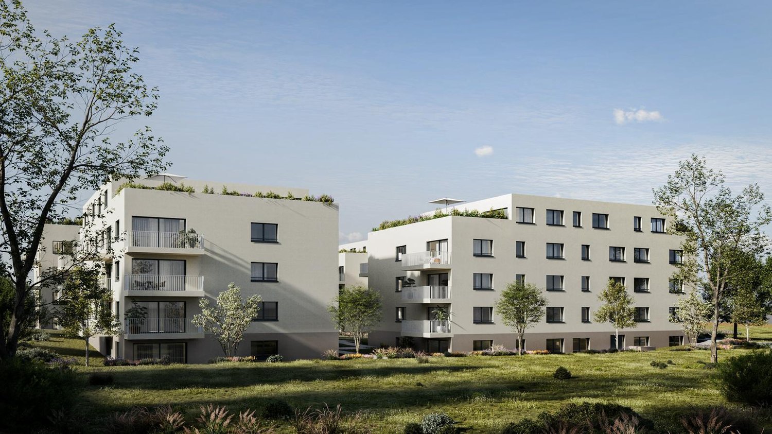 Vermietungsstart Ergipark - Wo Zukunft Wurzeln schlägt - Bild 6