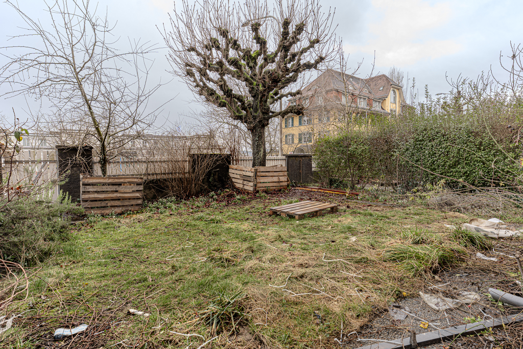 Sanierte Wohnung inmitten Breitenrainquartier zu vermieten - Garten