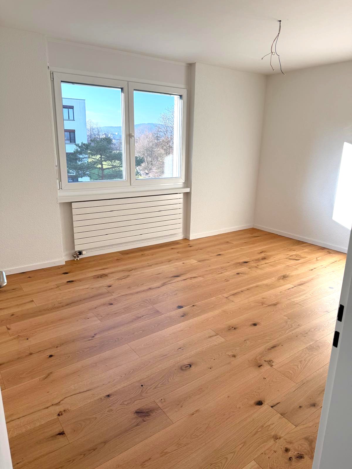 Erstbezug nach Sanierung - 2