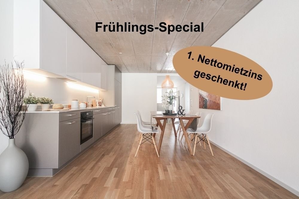 Mieten ohne Kaution: Moderne 4.5-Zimmer-Wohnung in Terrassenhaus - Beispiel Küche