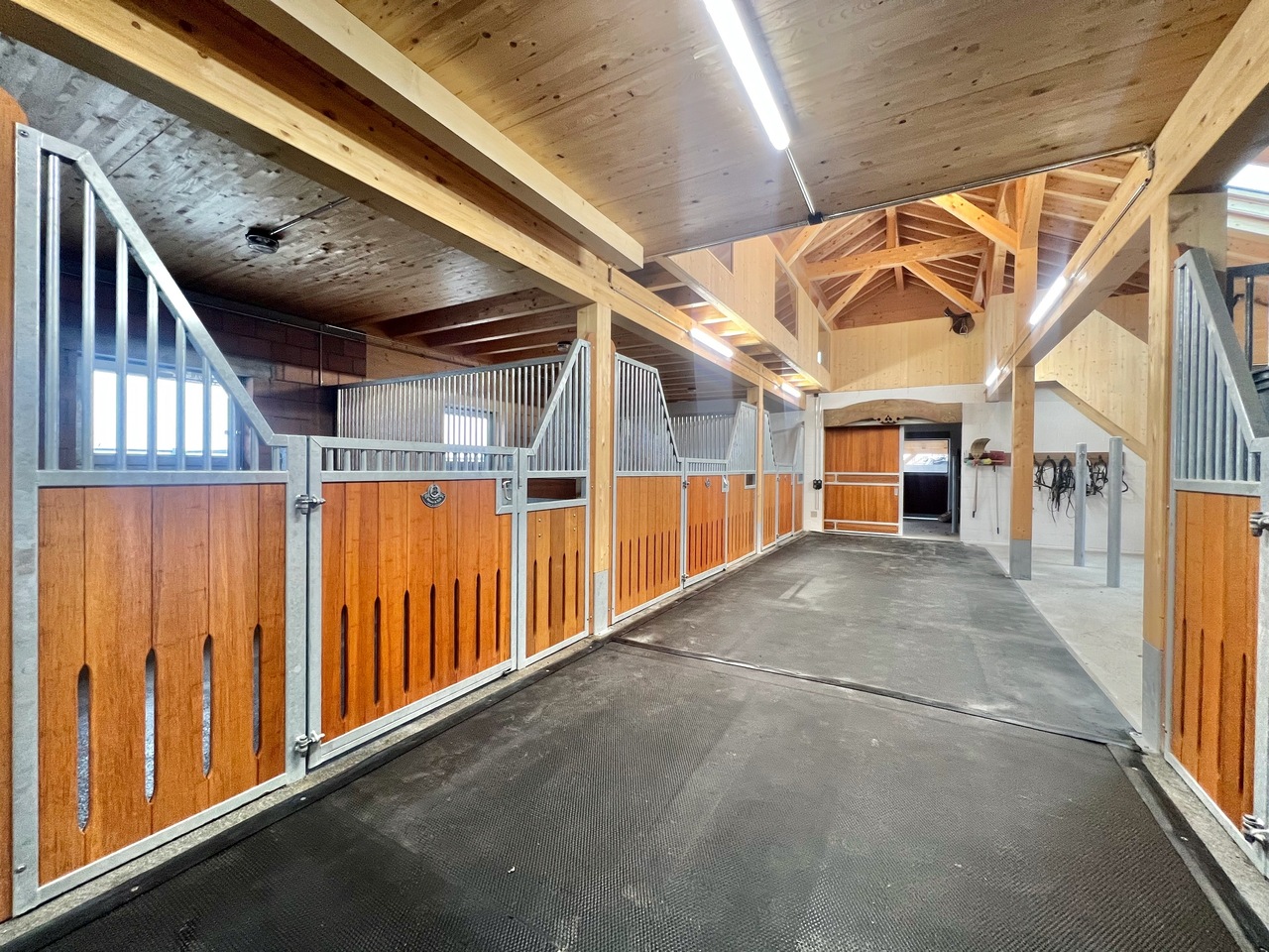 Ferme équestre avec installations complètes et 2 logements - Couloir des boxes