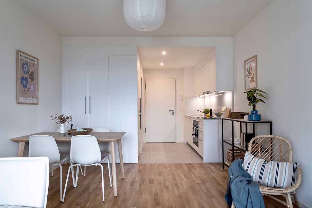 Moderno Appartamento da 1.5 Locali in Stabile Ristrutturato - 4310_29_Monolocale11