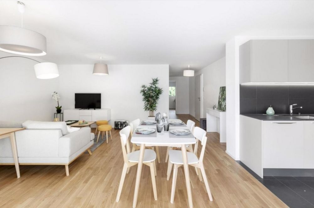 Splendide logement à proximité du centre-ville d'Aigle ! - Salon_salleManger.PNG
