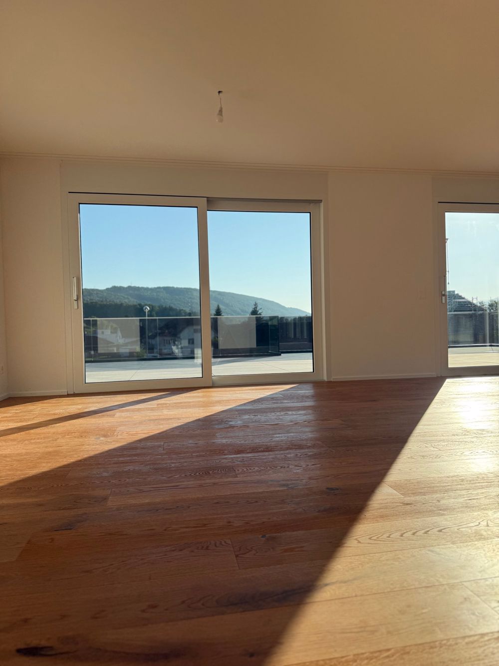 Luxuriöse 3.5-Zimmer-Attikawohnung mit atemberaubender 218 m² Terrasse in Däniken SO - Bild 5