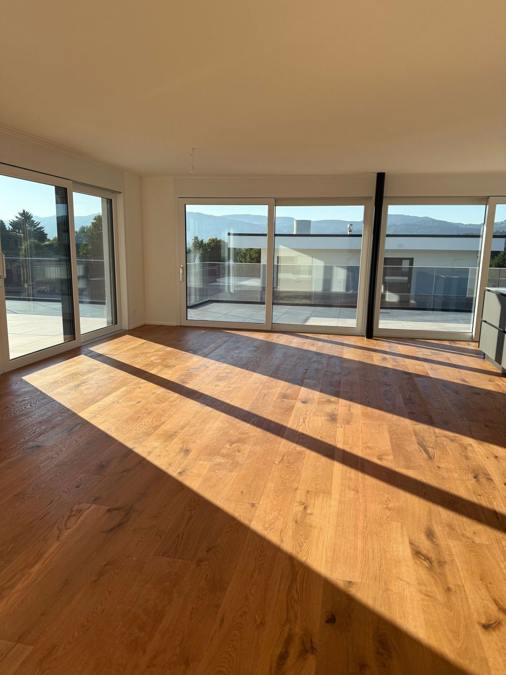 Luxuriöse 3.5-Zimmer-Attikawohnung mit atemberaubender 218 m² Terrasse in Däniken SO - Bild 6