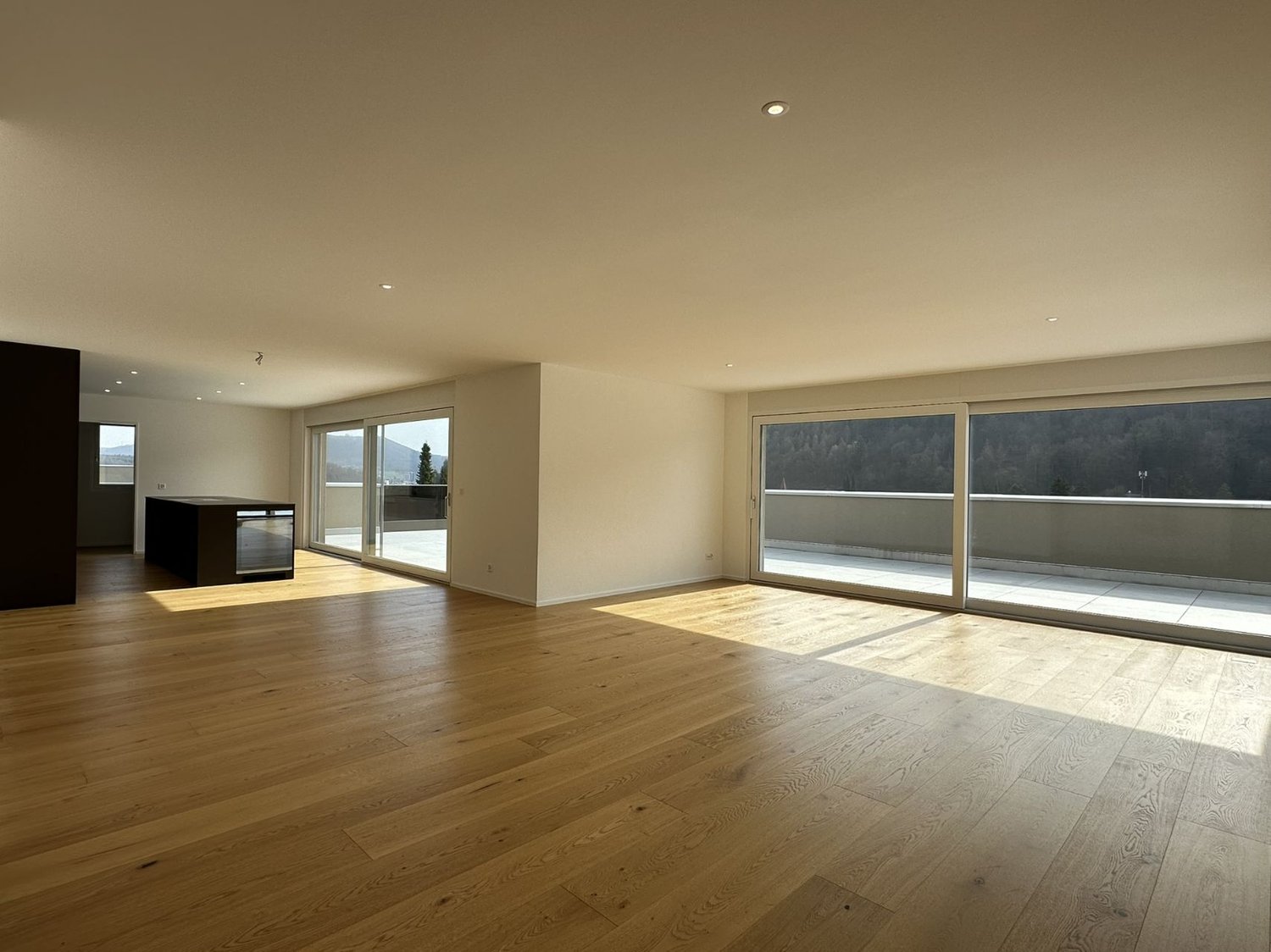 Luxus neu definiert – Attikawohnung mit Grosszügigkeit und Weitblick! - Bild 1