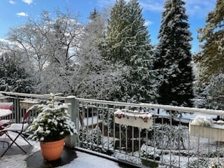 Bern, Kirchenfeld, 41/5 Zimmer-Wohnung, sonnig, zentral, ruhige Lage, mit grossem Balkon - Bild 5