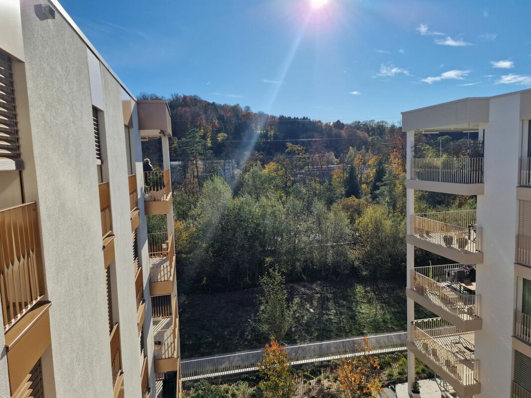 Berges 2 - Appartement 2.5 pièces au dernier étage - Vue