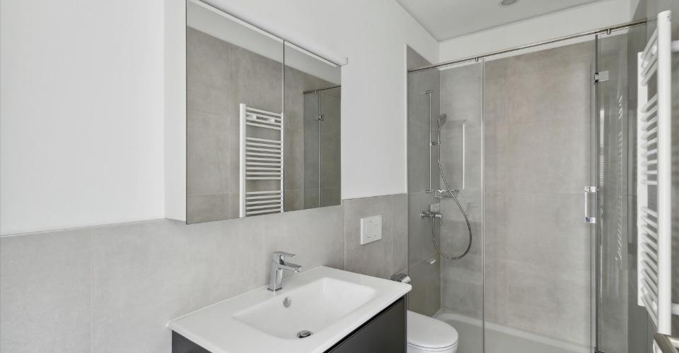 Appartement 4.5 pièces - Appartement 4.5 pièces - image - 4