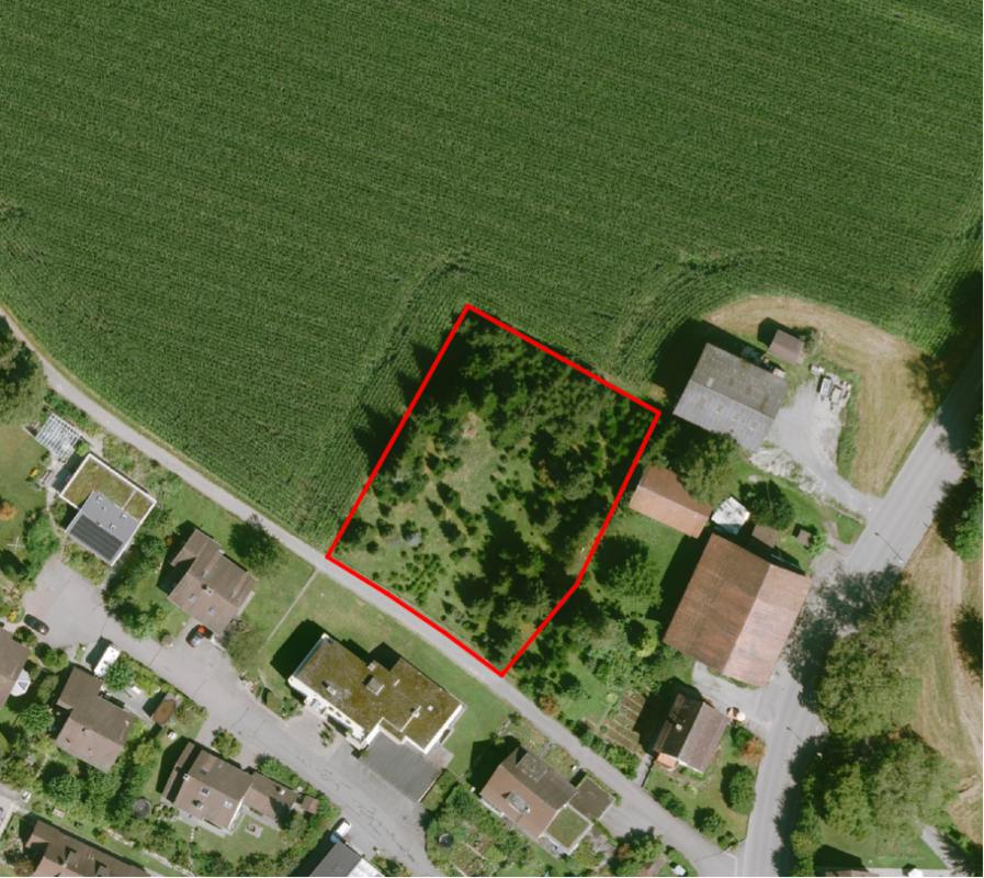 Neubau Grünblick Pfäffikon ZH - Haus 5 - Bild 5