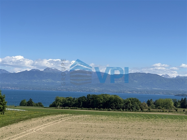 Gland-Neubau-Platte teilbar im 2. Stock - Bild 6
