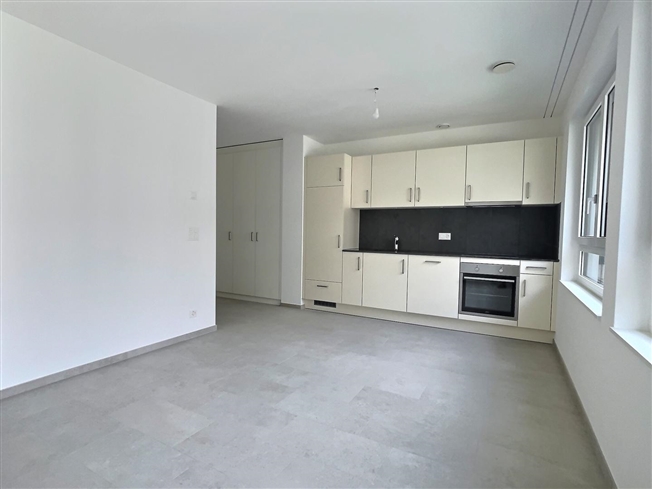 Wunderschönes neues Studio mit Parkplatz in der Garage – zu mieten – Sion - Bild 2