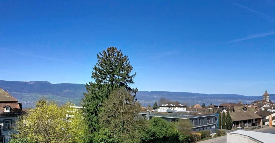 Spacieux 3,5 pièces avec vue lac et terrasse privative - Appartement 3.5 pièces - image - 4