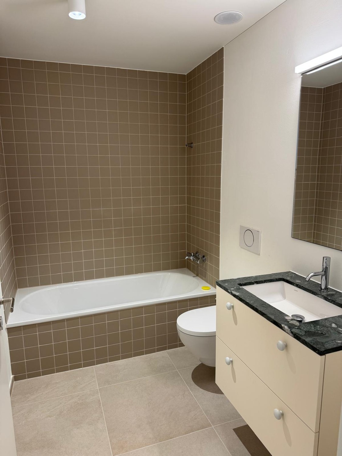 Grosszügige 4.5-Zimmer Neubauwohnung (125 m²)  Erstbezug ab 01. April 2026 in ruhiger Lage Birmensdorf - Bild 11