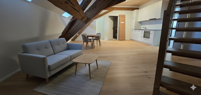 Moderne 2.5-Zimmer-Duplex in Stein AG mieten (Nr. 16) - Bild 1