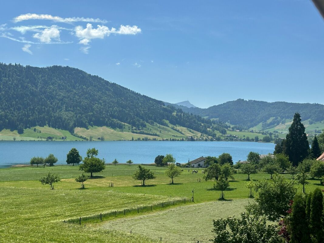 Überbauung Bahnhöfli: Exklusive Neubauwohnungen mit Panoramaaussicht auf den Ägerisee - Bild 11