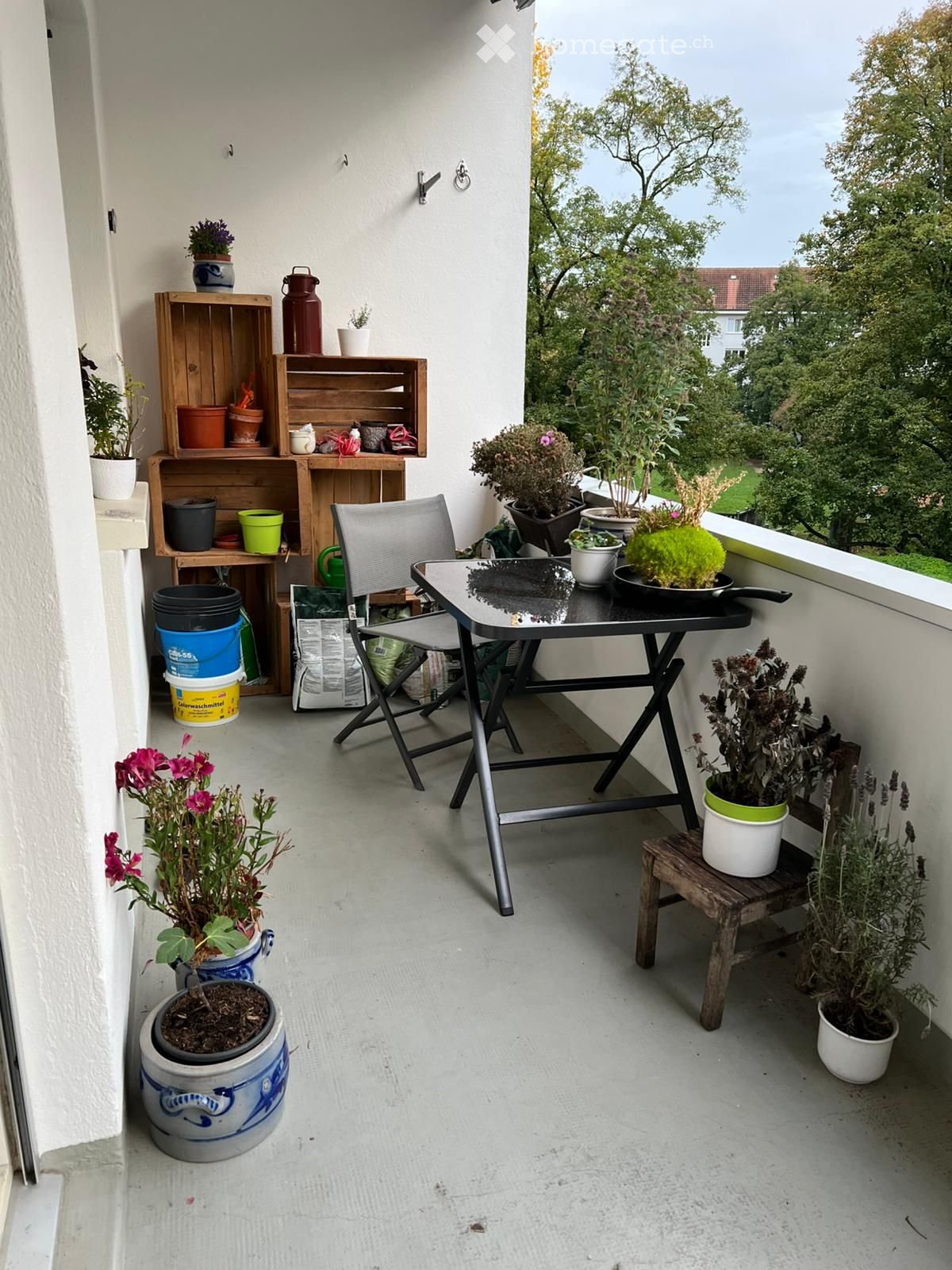 Helle 2-Zimmer-Wohnung mit grossem Balkon in ruhiger Lage im Iselin Quartier - Bild 4