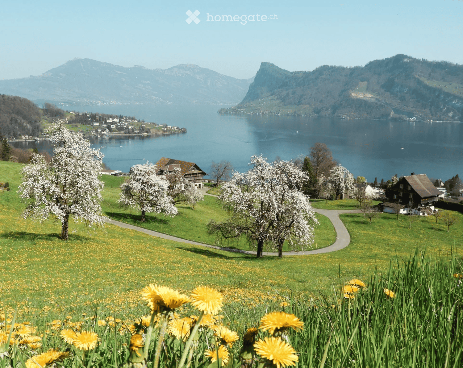 Exklusives Wohnen mit privatem Gartenrefugium - Bild 9
