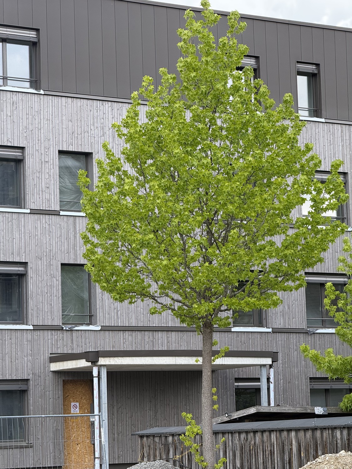 Erstvermietung TOP - Attikawohnung mit 112m2-Terrasse - Bild 4