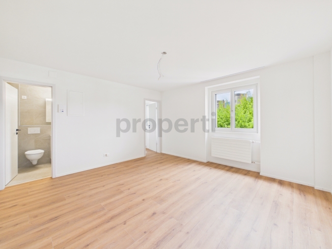Erstbezug nach Renovation  Moderne 1.5-Zimmer-Wohnung mit Pilatusblick - Bild 4