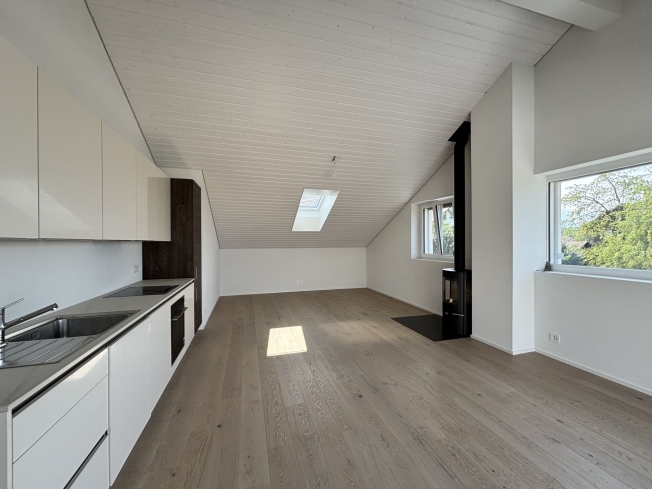 Prächtige neue Penthouse-Wohnung mit Blick auf den See - Bild 5