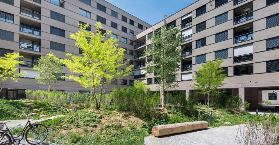 Schöne Familienwohnung im Erlenmattquartier - Appartement 4.5 pièces - image - 1
